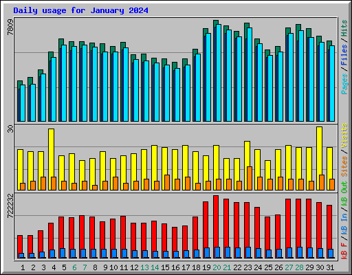 Daily usage for January 2024