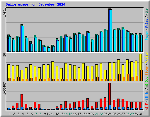 Daily usage for December 2024