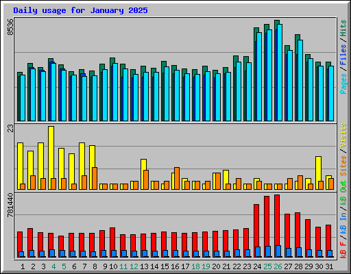 Daily usage for January 2025