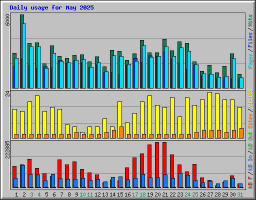 Daily usage for May 2025