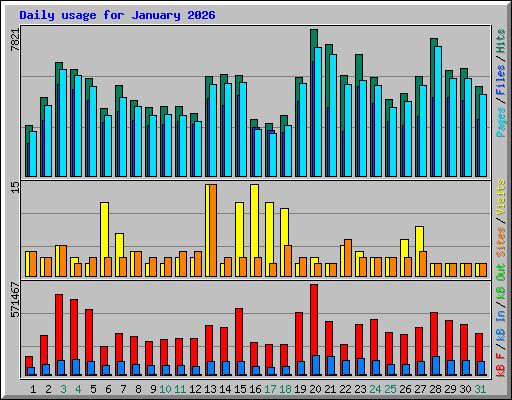 Daily usage for January 2026
