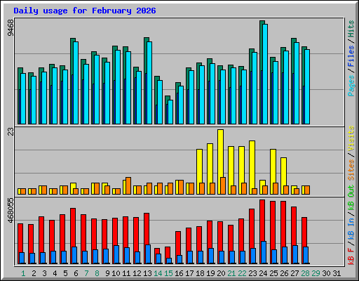 Daily usage for February 2026