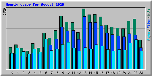 Hourly usage for August 2020