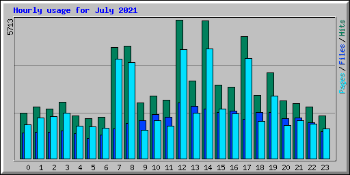 Hourly usage for July 2021