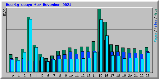 Hourly usage for November 2021