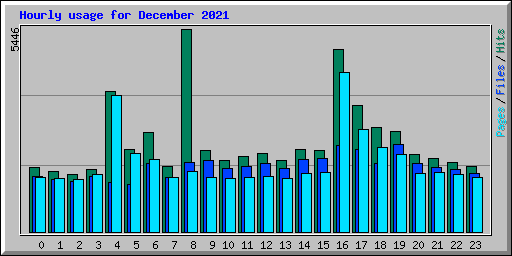 Hourly usage for December 2021