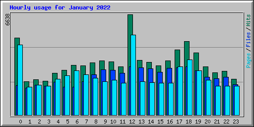 Hourly usage for January 2022