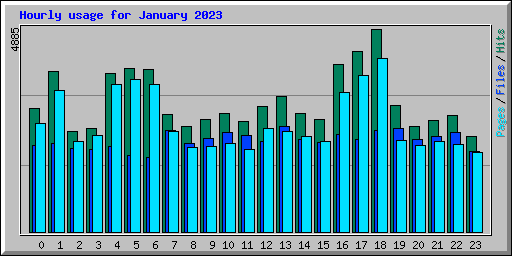 Hourly usage for January 2023
