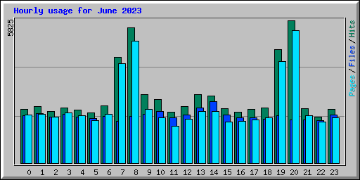 Hourly usage for June 2023