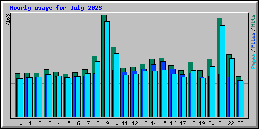 Hourly usage for July 2023