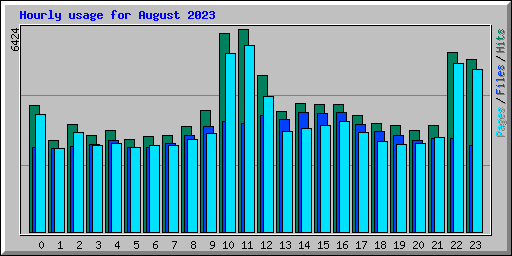 Hourly usage for August 2023