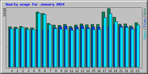 Hourly usage for January 2024