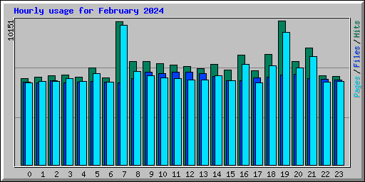 Hourly usage for February 2024