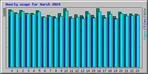 Hourly usage for March 2024