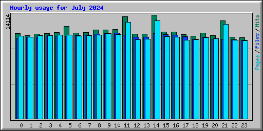 Hourly usage for July 2024