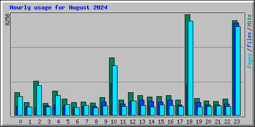 Hourly usage for August 2024