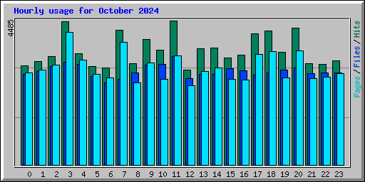 Hourly usage for October 2024