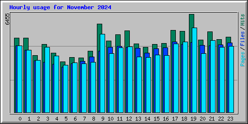 Hourly usage for November 2024