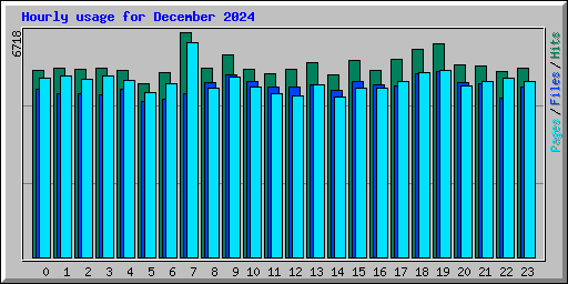 Hourly usage for December 2024