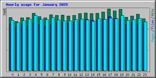 Hourly usage for January 2025
