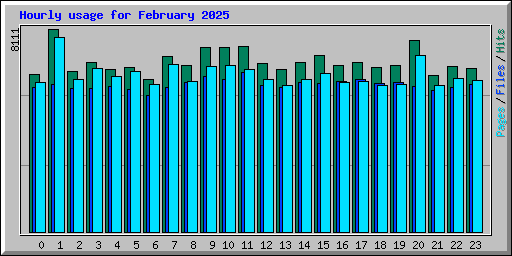 Hourly usage for February 2025