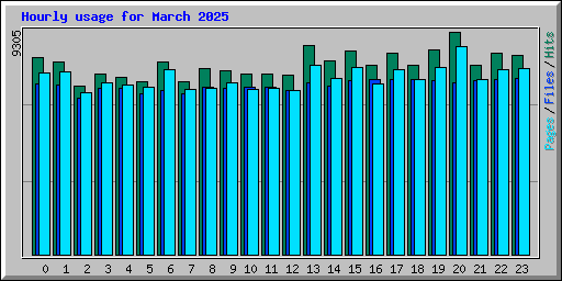 Hourly usage for March 2025