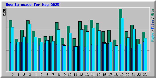 Hourly usage for May 2025