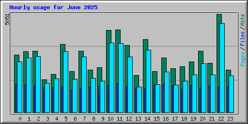 Hourly usage for June 2025