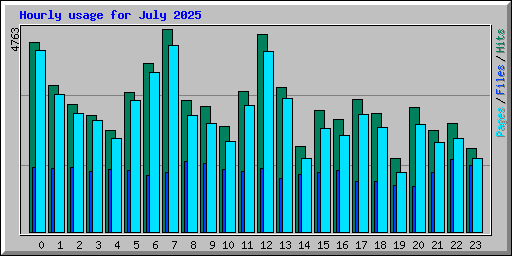 Hourly usage for July 2025