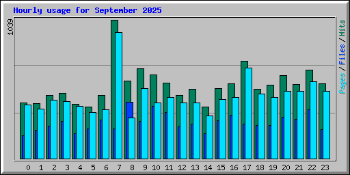 Hourly usage for September 2025