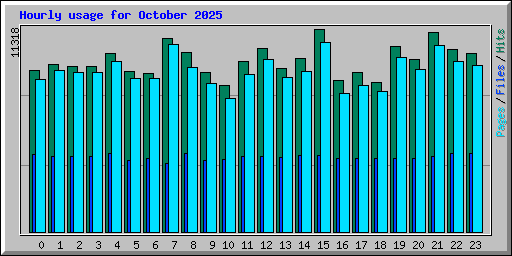 Hourly usage for October 2025