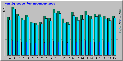 Hourly usage for November 2025