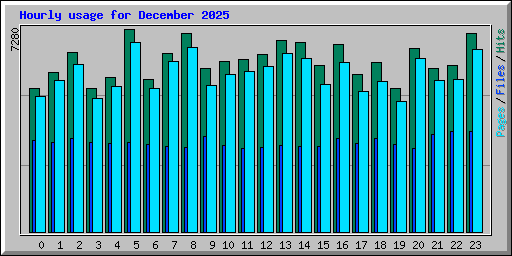 Hourly usage for December 2025