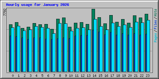 Hourly usage for January 2026