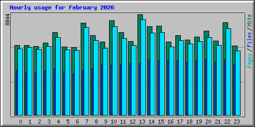 Hourly usage for February 2026