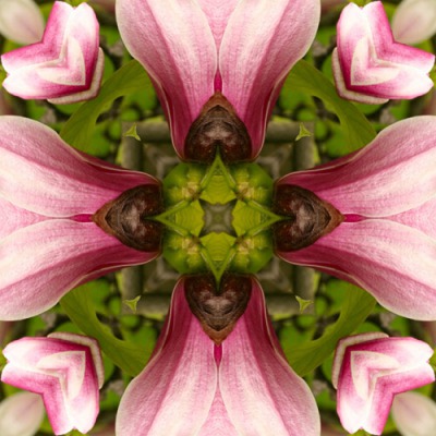 661